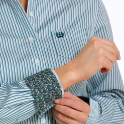 Cinch Tencel Mint Stripe Shirt